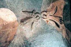 Anges tétraptères (Cliquez pour agrandir)